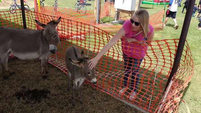 Dorothy petting a donkey