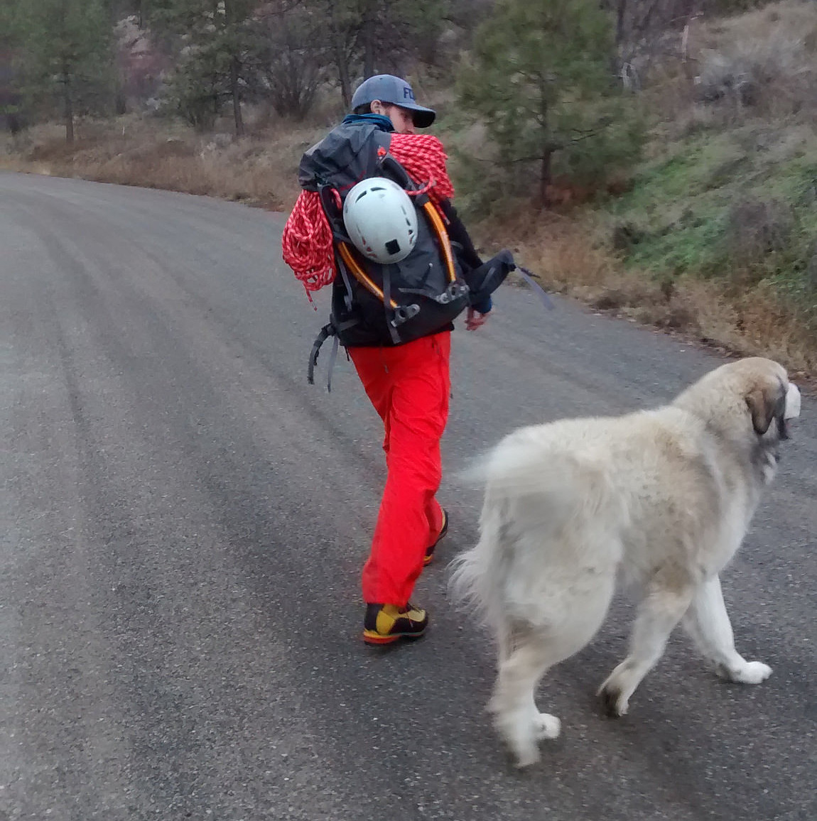 Mike and the dog